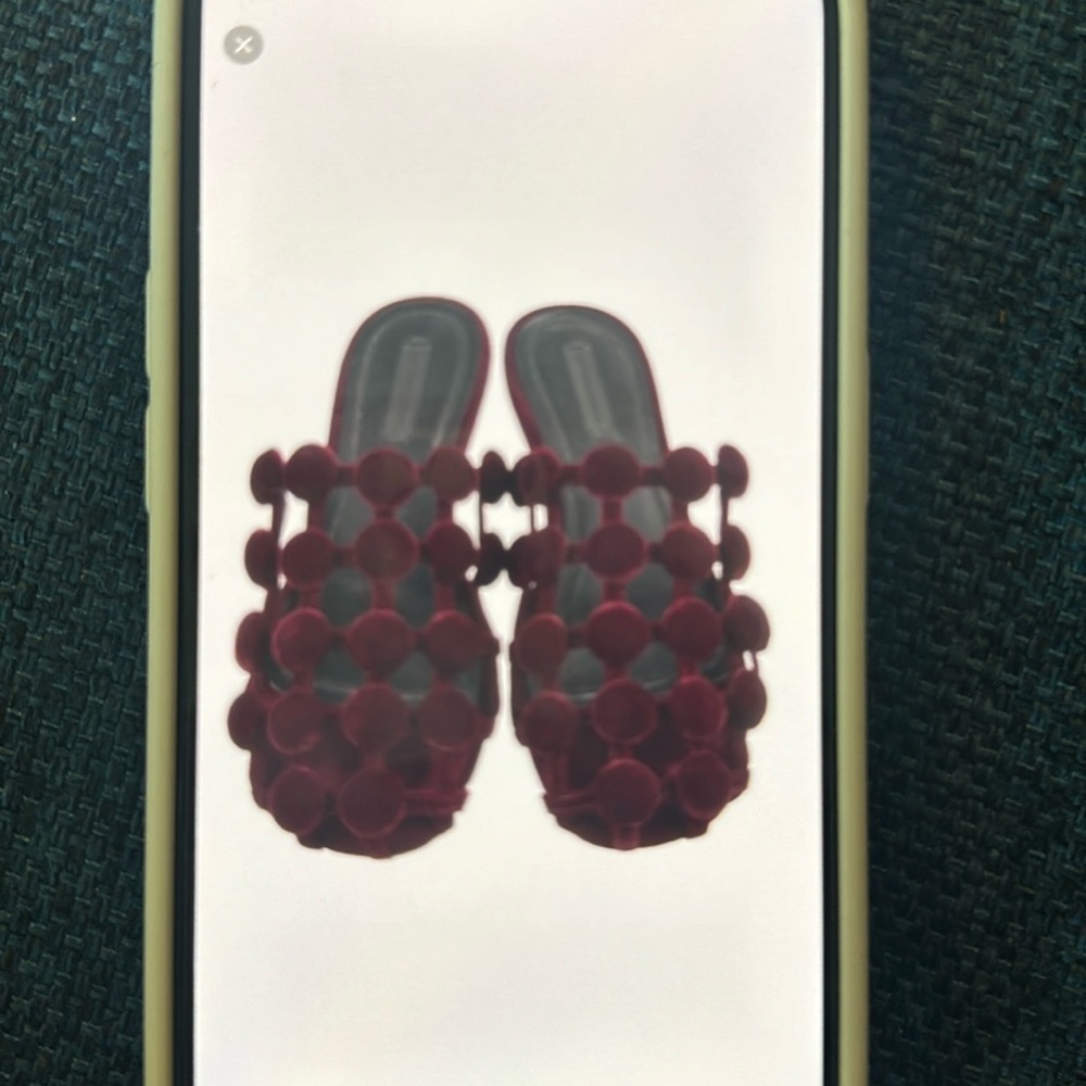 Alexander Wang Velvet Amelia Slides – Size 8